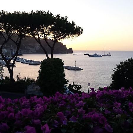 Giardino Mediterraneo Lacco Ameno  Екстериор снимка