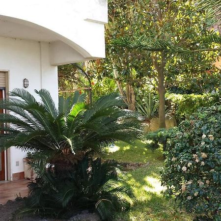 Giardino Mediterraneo Lacco Ameno  Екстериор снимка