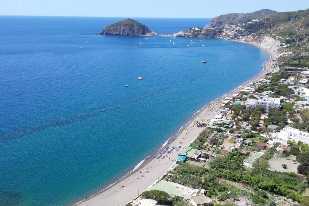 Giardino Mediterraneo Lacco Ameno  Екстериор снимка