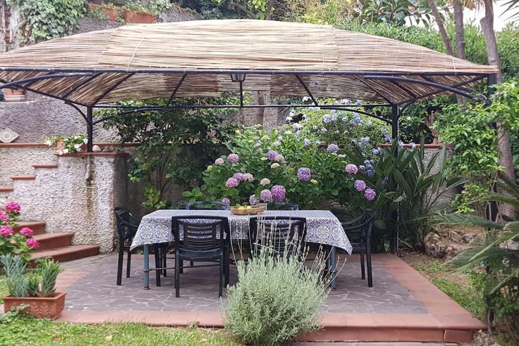 Giardino Mediterraneo Lacco Ameno  Екстериор снимка