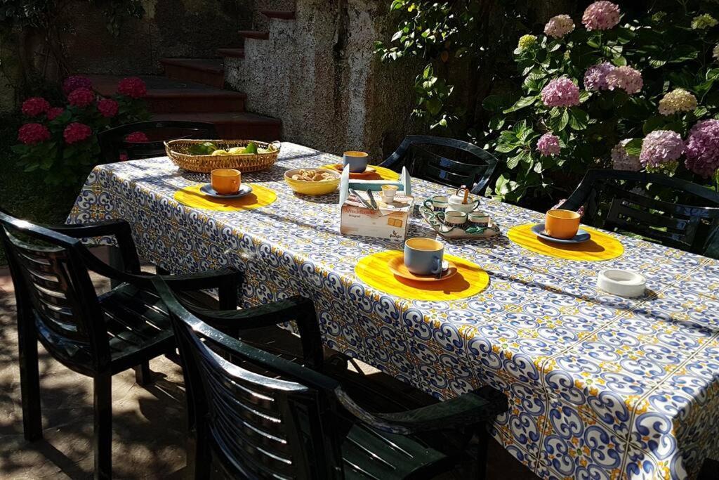 Giardino Mediterraneo Lacco Ameno  Екстериор снимка