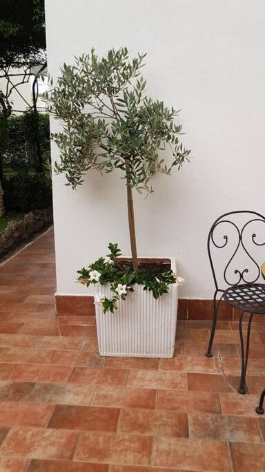 Giardino Mediterraneo Lacco Ameno  Екстериор снимка