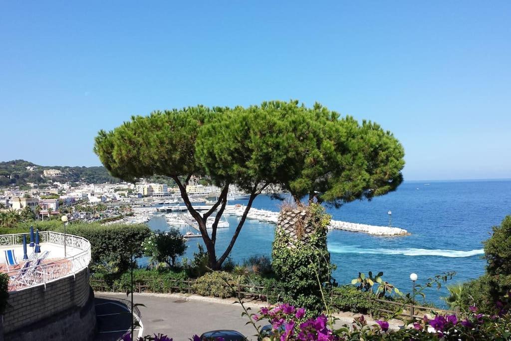 Giardino Mediterraneo Lacco Ameno  Екстериор снимка