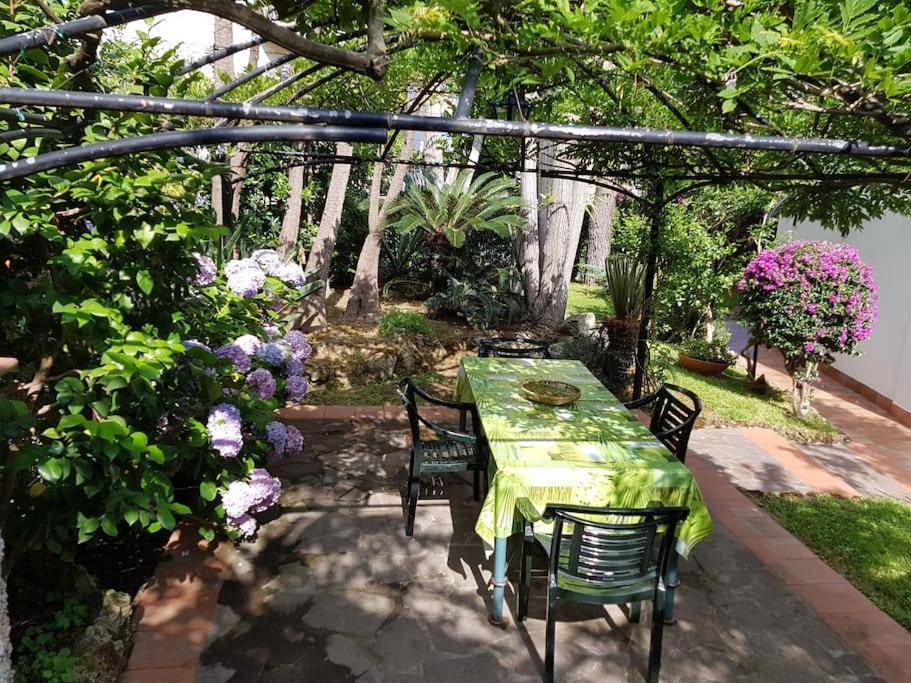 Giardino Mediterraneo Lacco Ameno  Екстериор снимка