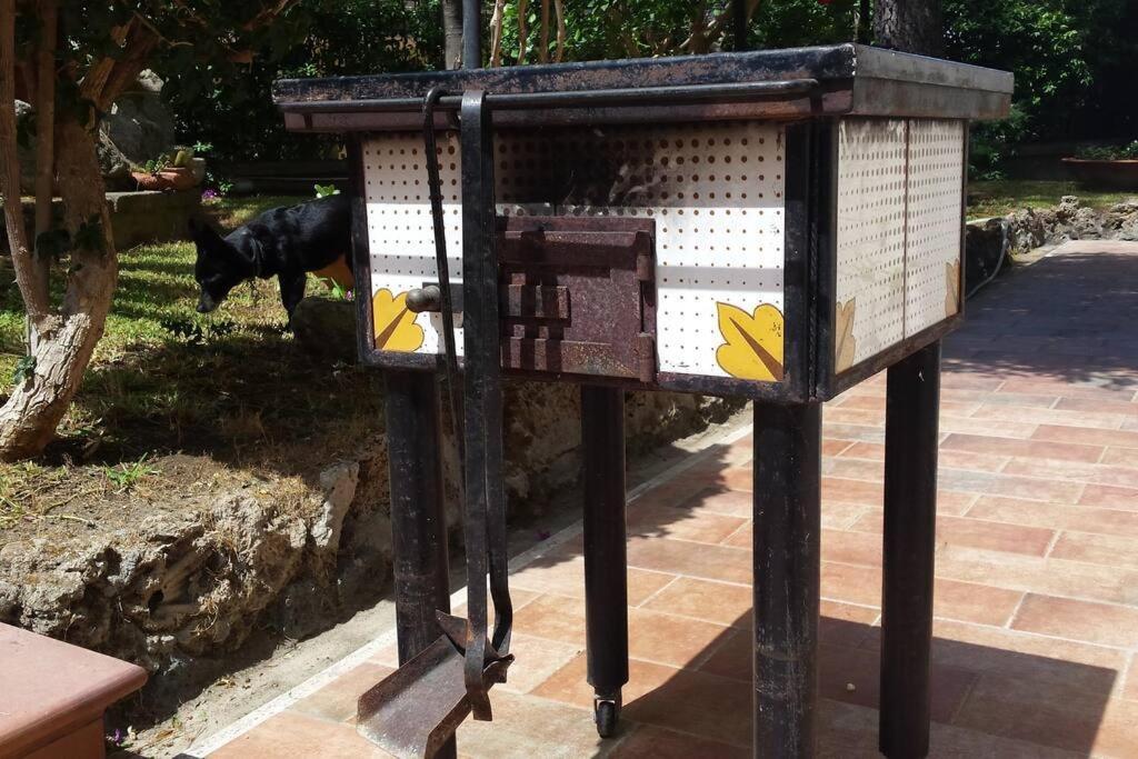 Giardino Mediterraneo Lacco Ameno  Екстериор снимка
