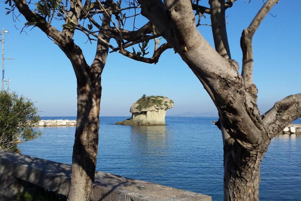Giardino Mediterraneo Lacco Ameno  Екстериор снимка