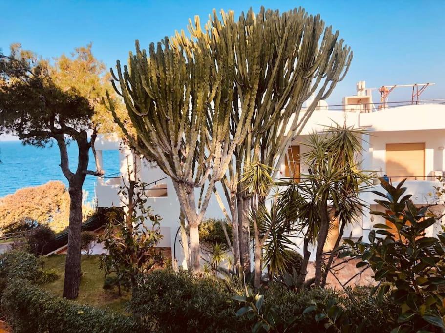 Giardino Mediterraneo Lacco Ameno  Екстериор снимка