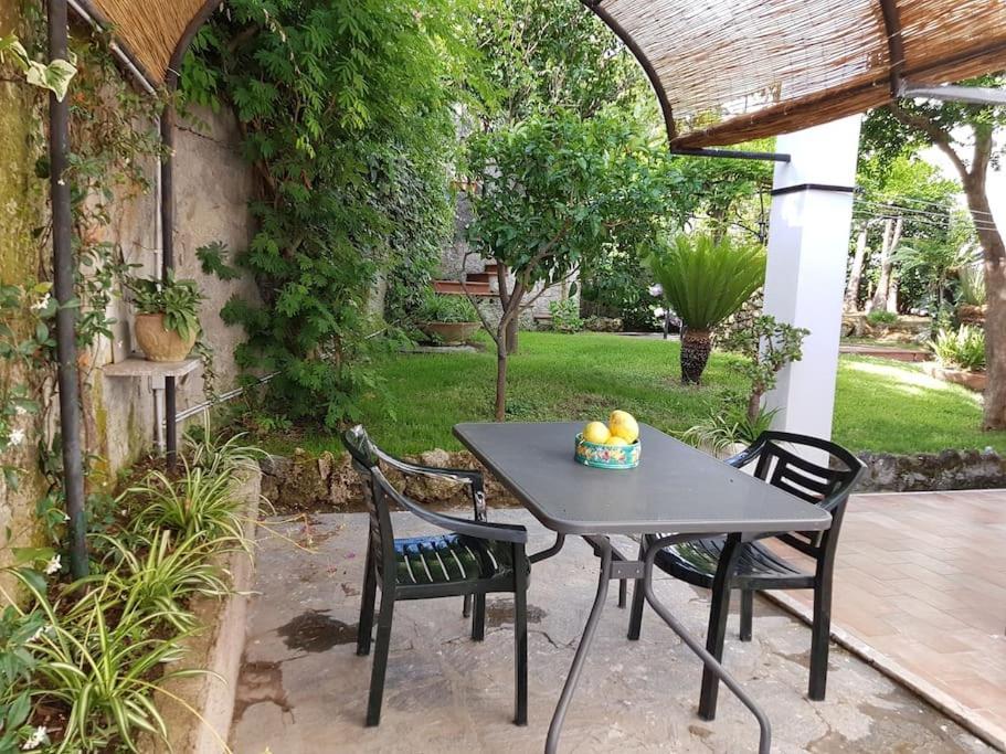 Giardino Mediterraneo Lacco Ameno  Екстериор снимка