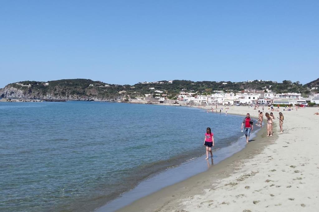 Giardino Mediterraneo Lacco Ameno  Екстериор снимка