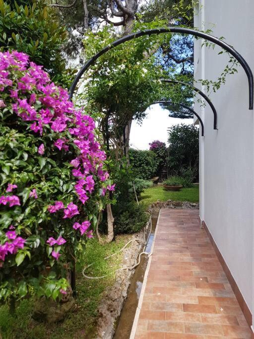 Giardino Mediterraneo Lacco Ameno  Екстериор снимка