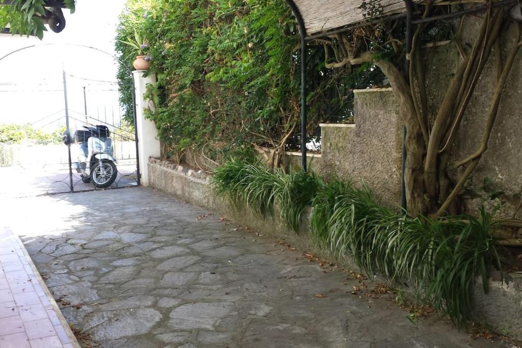 Giardino Mediterraneo Lacco Ameno  Екстериор снимка